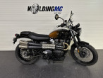 2024 Triumph Scrambler