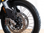 2024 Triumph Tiger 900 Rally Pro