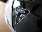 2024 Triumph Tiger 900 Rally Pro