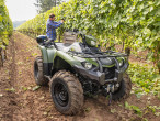 2024 Yamaha Kodiak 450