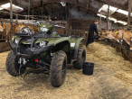 2024 Yamaha Kodiak 450