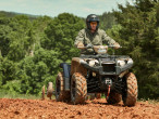 2024 Yamaha Kodiak 450