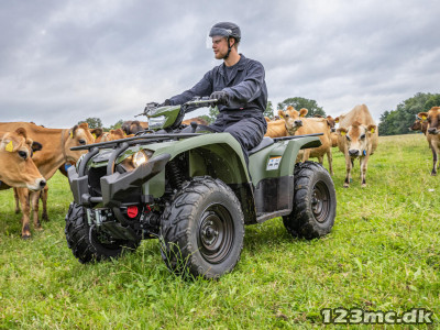 Yamaha Kodiak 450 Demomodel EPS Traktor (Electric Power Steering)