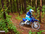 2024 Yamaha TT 125 R