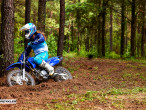 2024 Yamaha TT 125 R
