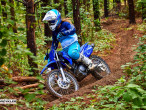2024 Yamaha TT 125 R