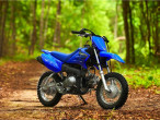 2024 Yamaha TT R50E
