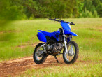 2024 Yamaha TTR 110