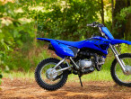 2024 Yamaha TTR 110