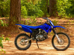 2024 Yamaha TTR 125 LW