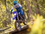2024 Yamaha WR 250 F