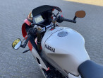 2024 Yamaha XSR 900 GP 2024 Yamaha XSR 900 GP