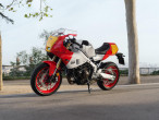 2024 Yamaha XSR 900 GP