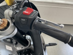 2024 Yamaha XSR 900 GP