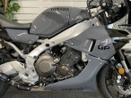2024 Yamaha XSR 900 GP