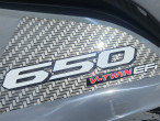 2025 Aodes Pathcross 650 L