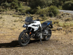2025 BMW F 800 GS
