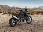 2025 BMW F 900 GS