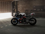 2025 BMW M 1000 R