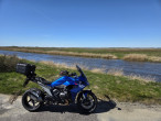 2025 BMW R 1300 RS