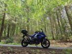 2025 BMW R 1300 RS 2025 BMW R 1300 RS