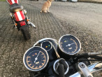 2025 BSA Goldstar