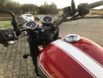 2025 BSA Goldstar
