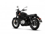2025 BSA Goldstar