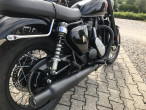 2025 BSA Goldstar