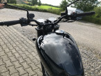 2025 BSA Goldstar