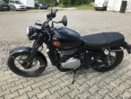 2025 BSA Goldstar
