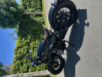 2025 CFMOTO 450 CL-C