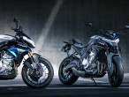 2025 CFMOTO 675 NK