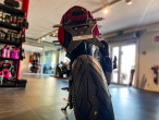 2025 Ducati Monster