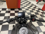 2025 Honda CB 1000 Hornet