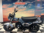 2025 Honda ST 125 Dax