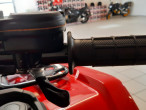 2025 Honda TRX 420 FE