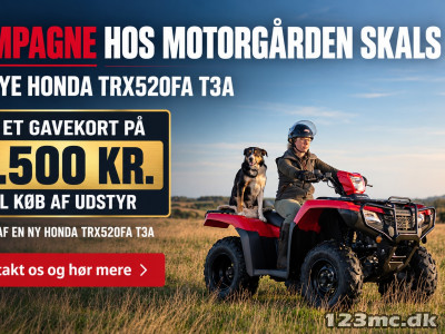 Honda TRX 520 FA (DTC) T3a