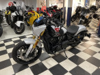 2025 Indian 101 Scout