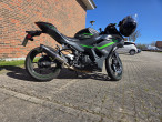 2025 Kawasaki Ninja 500 SE