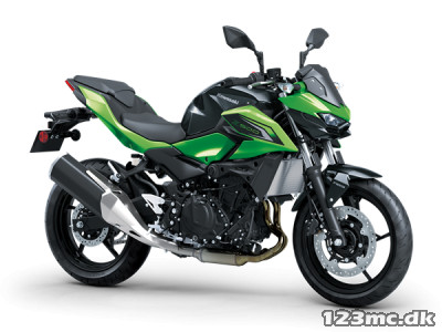 Kawasaki Z 500