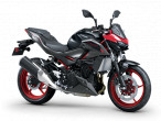 2025 Kawasaki Z 500 SE