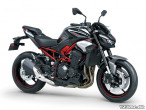 2025 Kawasaki Z 900