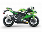 2025 Kawasaki ZX4RR