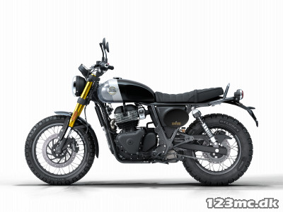 Royal Enfield Bear 650 Golden Shadow