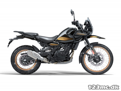 Royal Enfield Himalayan 450 Summit Hanle Black (slangeløs dæk)