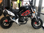 2025 Skymoto Little Monster