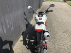 2025 Skymoto Little Monster