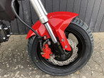 2025 Skymoto Little Monster