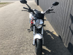 2025 Skymoto Little Monster